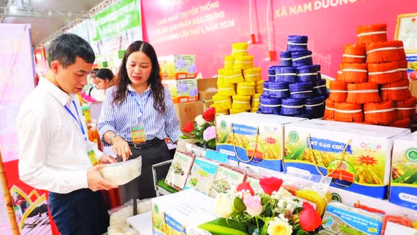 Giới thiệu sản phẩm mì gạo của thành viên Câu lạc bộ Hợp tác xã Lục Ngạn.