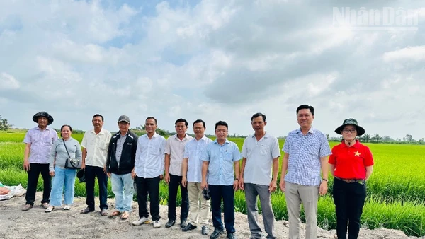 Đoàn cán bộ, nông dân sản xuất giỏi phường Vĩnh Trạch (tỉnh Cà Mau) đến thăm quan mô hình sản xuất lúa chất lượng cao kết hợp nuôi tôm trên ruộng lúa ở xã Ninh Thạnh Lợi. (Ảnh: TRỌNG DUY) 