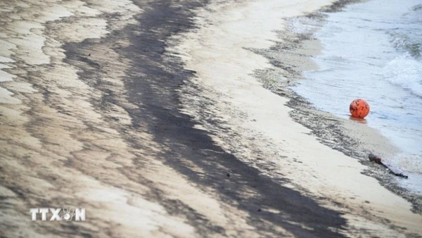 Dầu tràn trên bãi biển. (Ảnh minh họa: THX/TTXVN)
