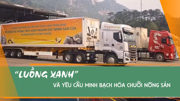 “Luồng xanh” và yêu cầu minh bạch hóa chuỗi nông sản