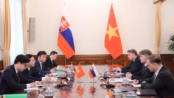 Thứ trưởng Ngoại giao Ngô Lê Văn và Quốc vụ khanh Bộ Ngoại giao Slovakia Marek Estok đồng chủ trì Tham vấn Chính trị cấp Thứ trưởng Ngoại giao Việt Nam-Slovakia. (Ảnh: An Đăng/TTXVN)