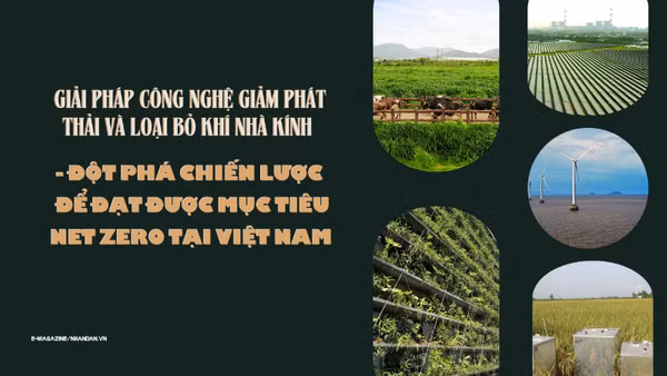 Giải pháp công nghệ giảm phát thải và loại bỏ khí nhà kính - Đột phá chiến lược để đạt được mục tiêu Net Zero 