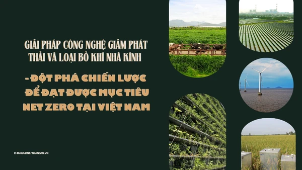 Giải pháp công nghệ giảm phát thải và loại bỏ khí nhà kính - Đột phá chiến lược để đạt được mục tiêu Net Zero 