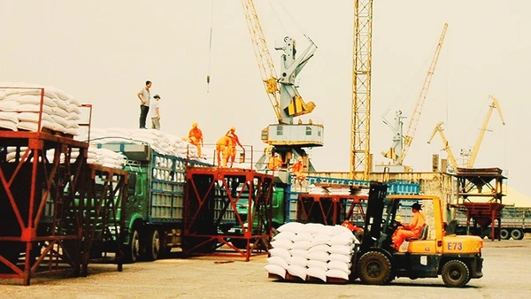 Xuất khẩu gạo năm 2025 có thể đạt 8,2 triệu tấn 