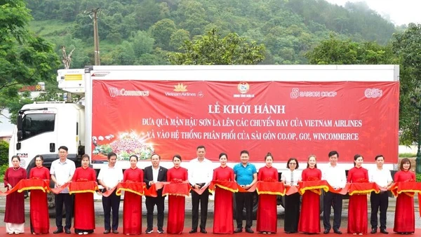 Lễ khởi hành đưa sản phẩm mận hậu Sơn La lên các chuyến bay của Vietnam Airlines.