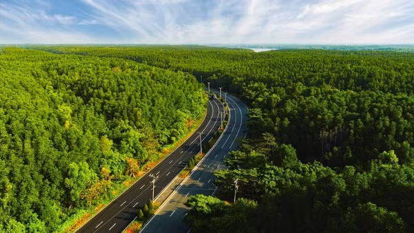 Đường Rừng Sác đi về Cần Giờ mở ra nhiều dư địa để phát triển đô thị du lịch nghỉ dưỡng, giải trí. 