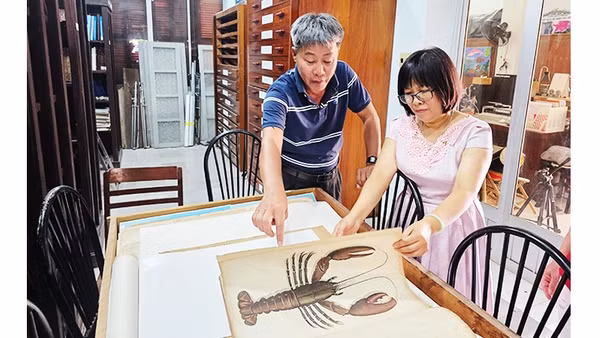 Tài liệu về loài tôm quý được lưu trữ trong bảo tàng.