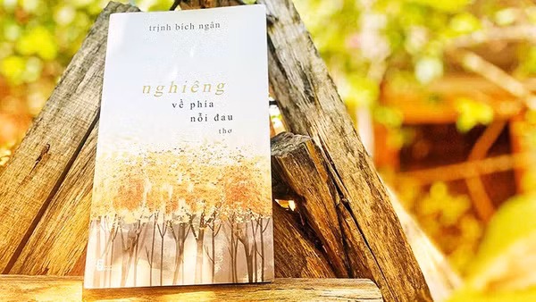 Trịnh Bích Ngân nghiêng về nỗi đau