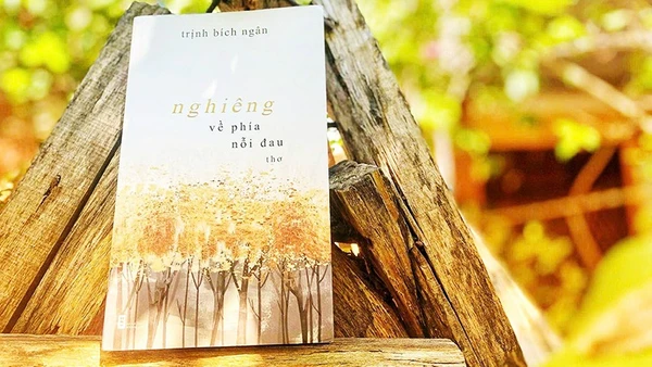 Trịnh Bích Ngân nghiêng về nỗi đau