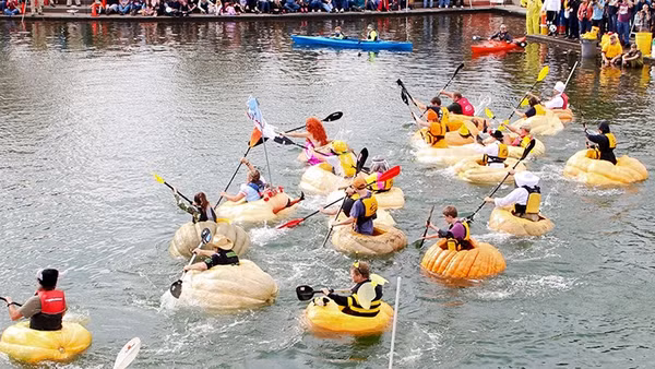 Cuộc đua thuyền bí ngô
