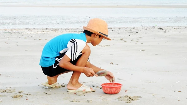 Bới cát tìm dã tràng. Ảnh: SONG ANH