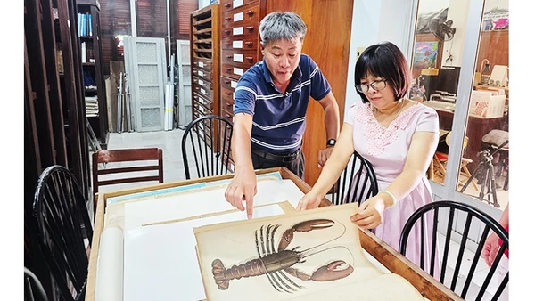 Tài liệu về loài tôm quý được lưu trữ trong bảo tàng.