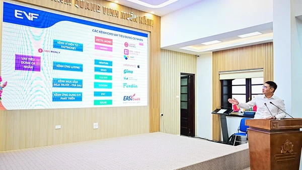 Đại diện Công ty Tài chính cổ phần Điện lực chia sẻ về những đóng góp của doanh nghiệp này với chiến lược tài chính toàn diện. Ảnh: BẢO LONG