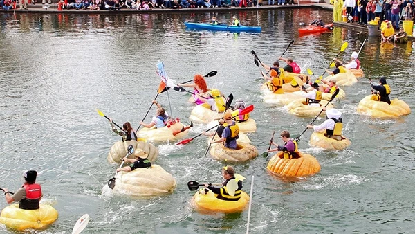 Cuộc đua thuyền bí ngô