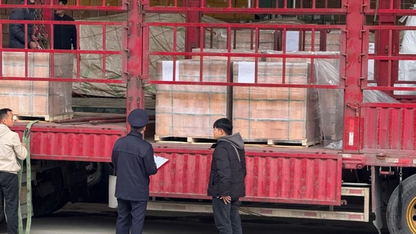 Công chức hải quan hướng dẫn thủ tục nhập khẩu hàng hóa cho doanh nghiệp.