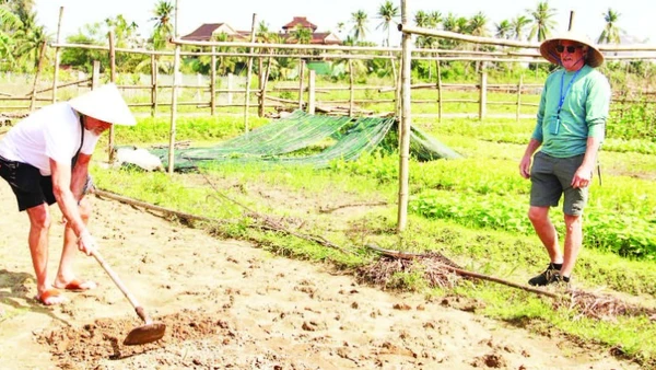 Khách du lịch trải nghiệm làm nông dân.
