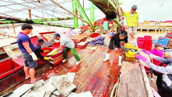 Ngư dân hối hả bốc dỡ hải sản lên bờ bán cho thương lái tại cảng cá chợ Cửa Việt.
