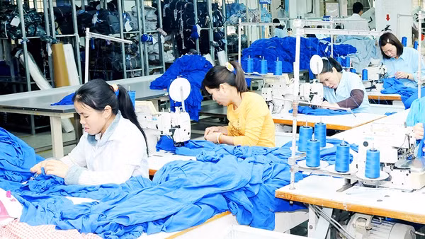Nhóm doanh nghiệp dệt may có tỷ trọng nhập khẩu bông lớn từ Mỹ như TCM, ADS, Vinatex… được hưởng lợi. Ảnh: SONG ANH