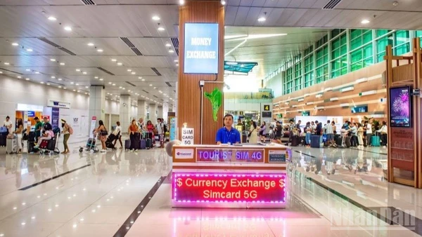 Cảng Hàng không quốc tế Phú Quốc phục vụ 371 chuyến bay trong nước (116.830 khách) và 396 chuyến bay quốc tế (143.643 khách), tăng 46% về số chuyến và 37% về lượt khách so với cùng kỳ Tết năm trước.