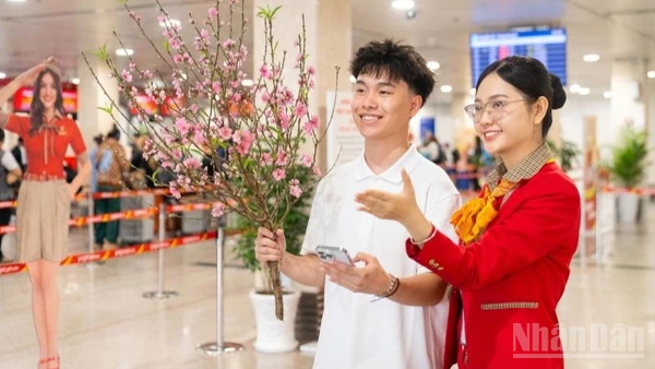 Hãng hàng không Vietjet triển khai mở bán thêm 390 nghìn chỗ, tương đương gần 1.800 chuyến bay bổ sung trong giai đoạn cao điểm từ ngày 2/2 đến 3/3/2026.