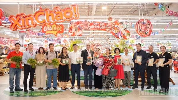 Tập đoàn Central Retail Việt Nam tiếp tục ra mắt 5 dự án Sinh kế cộng đồng được triển khai tại 5 hợp tác xã trong năm 2026.