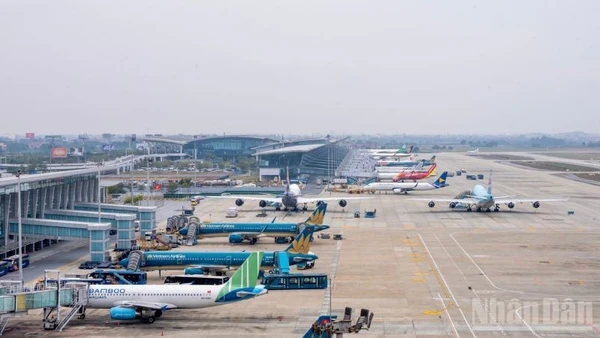 Các hãng hàng không Việt Nam đã lên phương án cắt giảm một số chuyến bay và đang xây dựng kế hoạch phụ thu nhiên liệu trên các đường bay quốc tế.