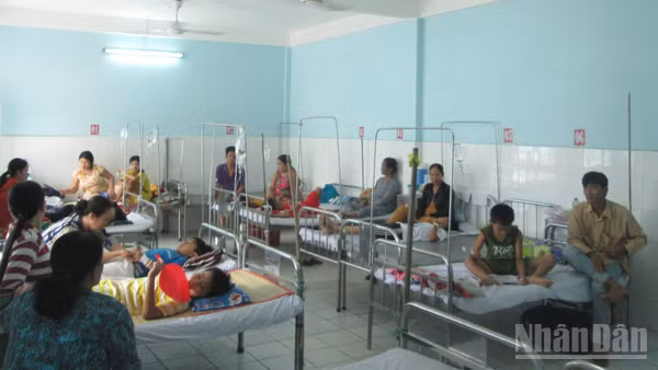 An Giang gia tăng số ca bệnh sốt xuất huyết.