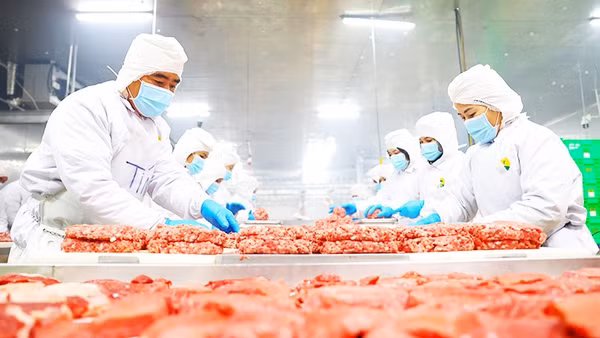 Nhiều doanh nghiệp đã chủ động đầu tư sản xuất theo mô hình khép kín, bảo đảm an toàn thực phẩm và truy xuất nguồn gốc.