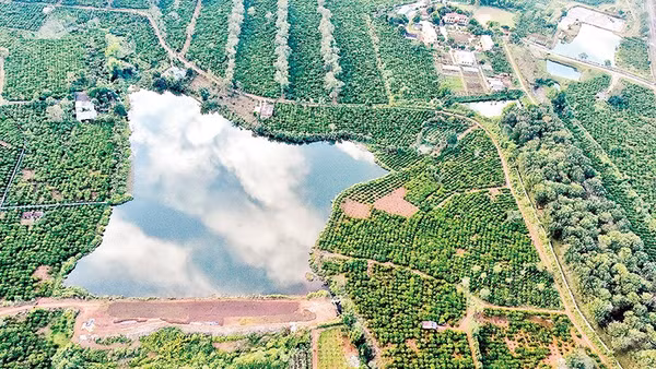 Một trong những miệng núi lửa hàng triệu năm tại Gia Lai.