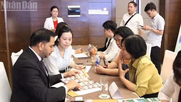 Doanh nghiệp với các chuyên gia, tổ chức chứng nhận và các nhà phân phối lớn kết nối trực tiếp tại Hội thảo.