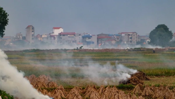 Người dân đốt rác và phụ phẩm nông nghiệp từ khu vực ngoại thành Hà Nội. (Ảnh THẾ ĐẠI)