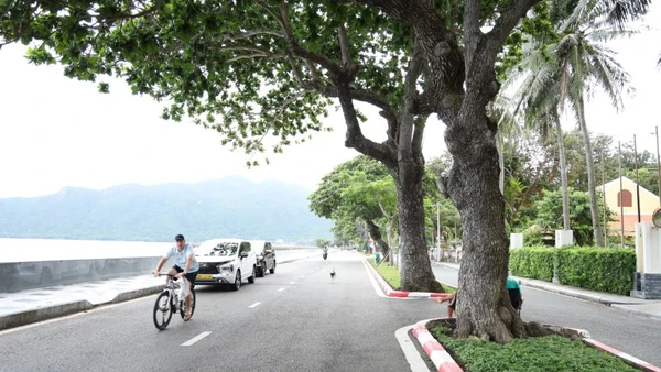 Đặc khu Côn Đảo được định hướng phát triển hiện đại theo hướng bảo tồn không gian xanh. 