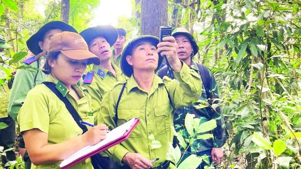 Lực lượng kiểm lâm phối hợp tuần tra, bảo vệ rừng và tuyên truyền phòng chống cháy rừng cho nhân dân.