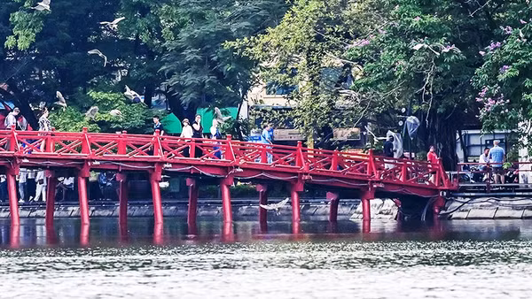 Tạo nên phong cảnh yên bình.
