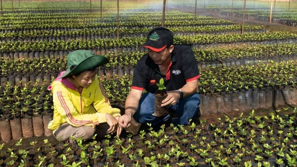 Đổi mới sáng tạo trong các hoạt động chuyển đổi xanh của doanh nghiệp.