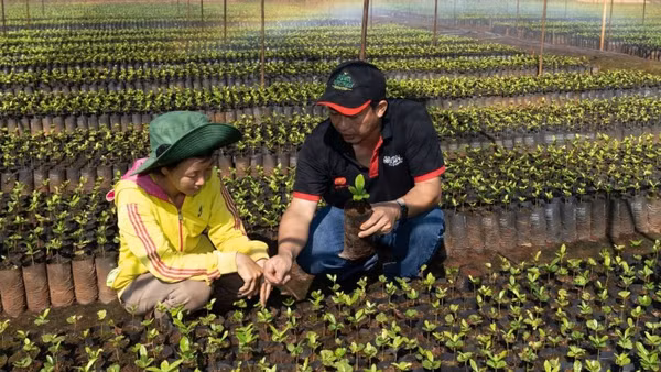 Đổi mới sáng tạo trong các hoạt động chuyển đổi xanh của doanh nghiệp.