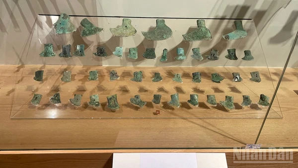 Bộ sưu tập lưỡi rìu được khai quật tại Vườn Chuối.