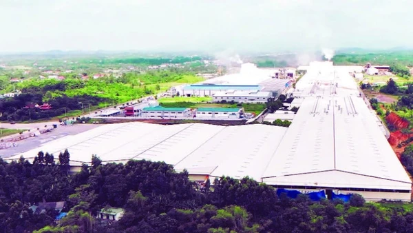 Khu công nghiệp Tam Dương II - Khu A thu hút nhiều nhà đầu tư thứ cấp.