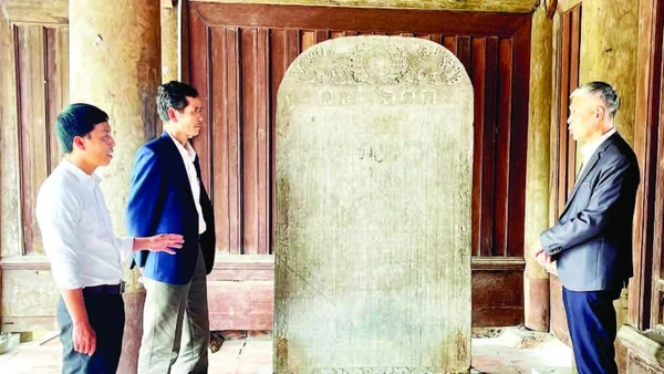 Cụm bia đá thời Lê Trung Hưng (thế kỷ 17-18) được bảo quản ở Tam quan chùa Keo Hành Thiện, xã Xuân Hồng, tỉnh Ninh Bình.