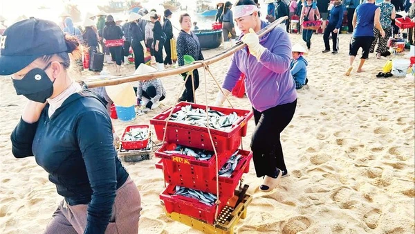 Quản lý trong khai thác và nuôi trồng góp phần nâng cao chất lượng thủy sản.