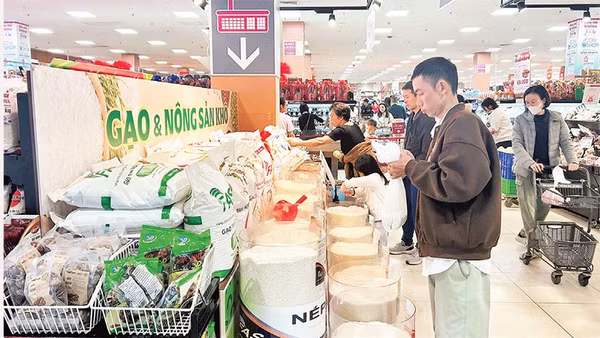 Bên cạnh đẩy mạnh xuất khẩu, ngành gạo Việt Nam cần tăng cường đầu tư vào thị trường trong nước.