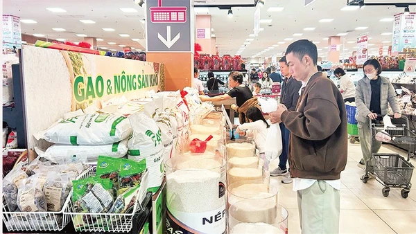 Bên cạnh đẩy mạnh xuất khẩu, ngành gạo Việt Nam cần tăng cường đầu tư vào thị trường trong nước.