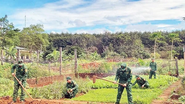 Cán bộ, chiến sĩ Đồn Biên phòng Ia Đal tăng gia sản xuất sau giờ tuần tra, huấn luyện.