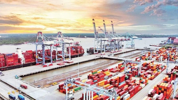 Cụm cảng Cái Mép-Thị Vải, phường Tân Phước,Thành phố Hồ Chí Minh. (Ảnh THẾ ANH)