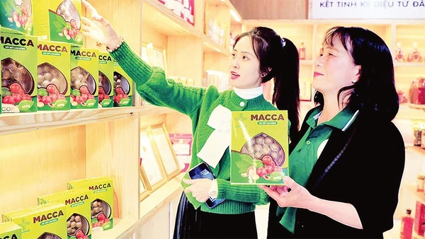 Sản phẩm OCOP của Lâm Đồng đã có mặt tại nhiều điểm bán hàng trong và ngoài tỉnh.