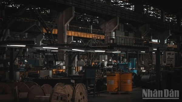 Tổ chức Climateworks Centre đề xuất một lộ trình chuyển đổi riêng nhằm đưa Thành phố Hồ Chí Minh, trung tâm kinh tế hàng đầu cả nước, trở thành khu công nghiệp phát thải ròng bằng 0 (Net Zero Industrial Precinct - NZIP).