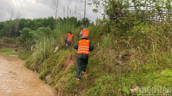 Lực lượng chức năng xã La Lay khẩn trương tìm kiếm tài xế bị nước lũ cuốn trôi.