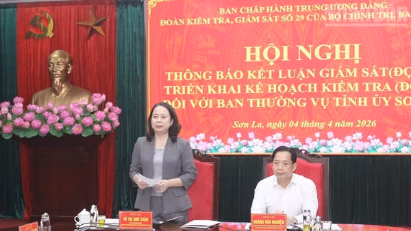 Đồng chí Võ Thị Ánh Xuân, Bí thư Trung ương Đảng, Phó Chủ tịch nước, Trưởng Đoàn Kiểm tra, giám sát số 29 phát biểu tại hội nghị. 