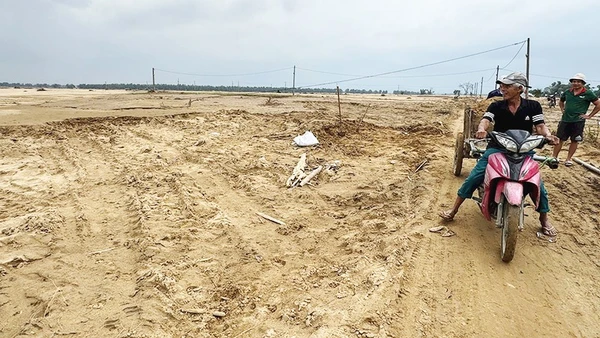 Người dân ở xã Đại Lộc, thành phố Đà Nẵng khôi phục lại diện tích canh tác đã bị đất, cát bồi lấp hoàn toàn.