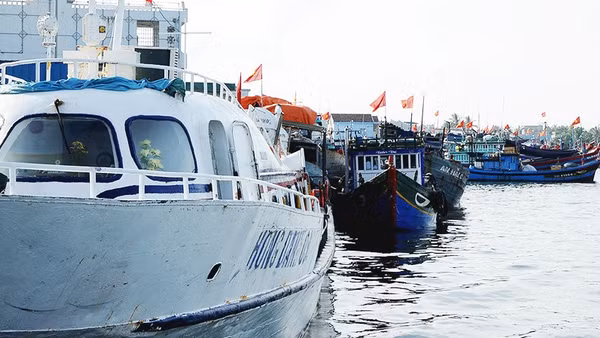 Ngày 17/1, Hiệp ước Biển cả chính thức có hiệu lực. Ảnh: SONG ANH